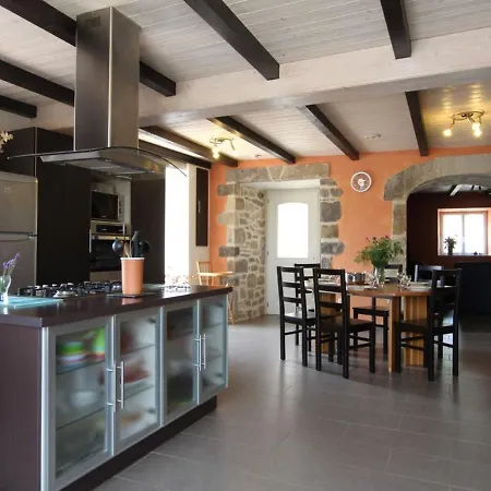 Renove, 3 Chambres, Cheminee, Terrasse Et Jardin, Proche Brioude Et Sites Touristiques. - Fr-1-582-231