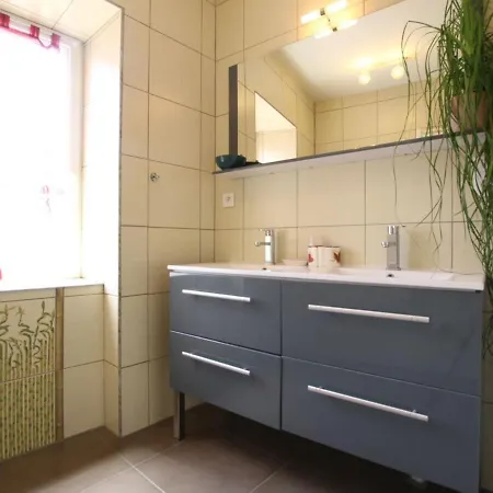 Vakantiehuis Renove, 3 Chambres, Cheminee, Terrasse Et Jardin, Proche Brioude Et Sites Touristiques. - Fr-1-582-231 *