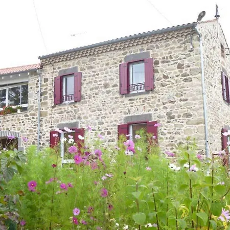 Renove, 3 Chambres, Cheminee, Terrasse Et Jardin, Proche Brioude Et Sites Touristiques. - Fr-1-582-231 Vakantiehuis *