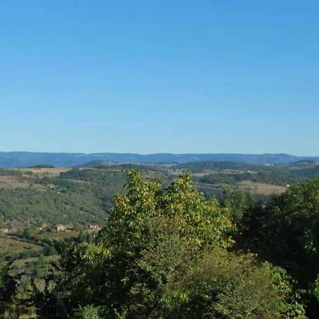 Renove, 3 Chambres, Cheminee, Terrasse Et Jardin, Proche Brioude Et Sites Touristiques. - Fr-1-582-231